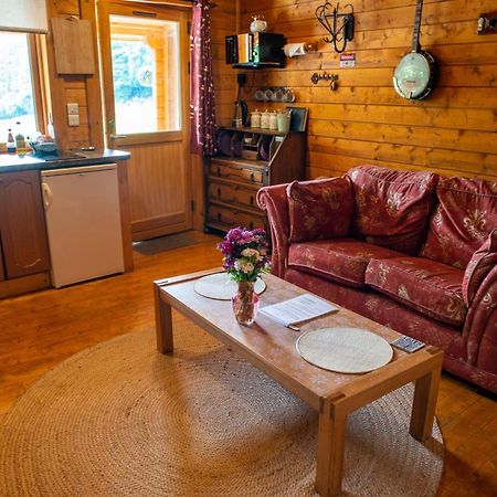 Blossom Cabin - Little Log Cabin In Wales Newtown  Exteriér fotografie