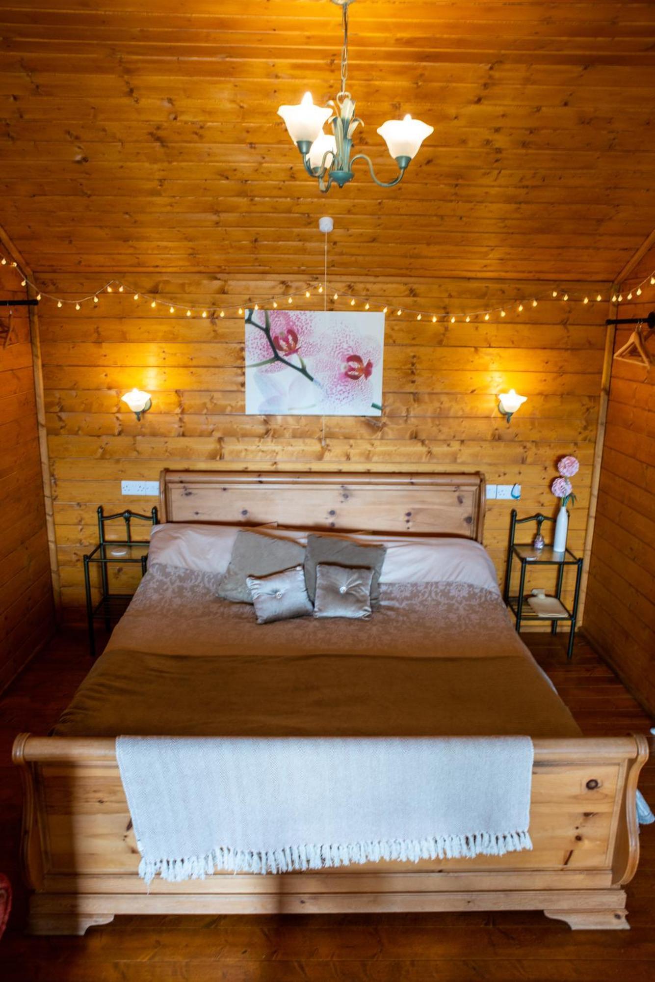 Blossom Cabin - Little Log Cabin In Wales Newtown  Exteriér fotografie