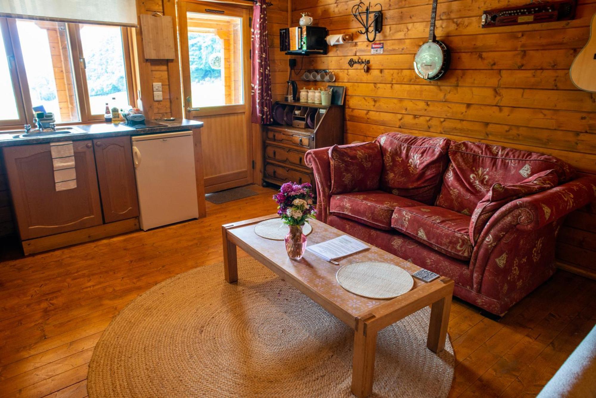 Blossom Cabin - Little Log Cabin In Wales Newtown  Exteriér fotografie