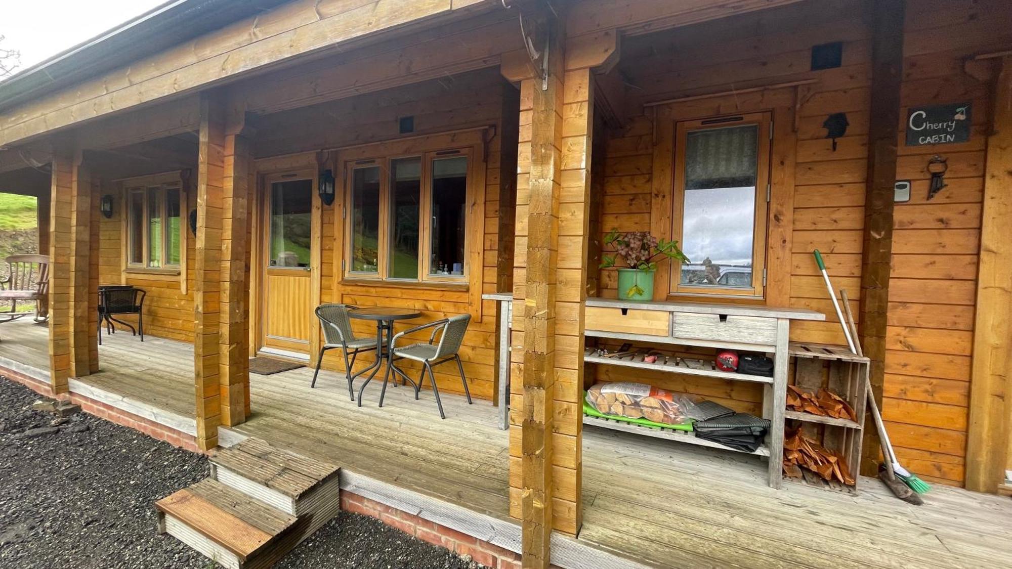 Blossom Cabin - Little Log Cabin In Wales Newtown  Exteriér fotografie