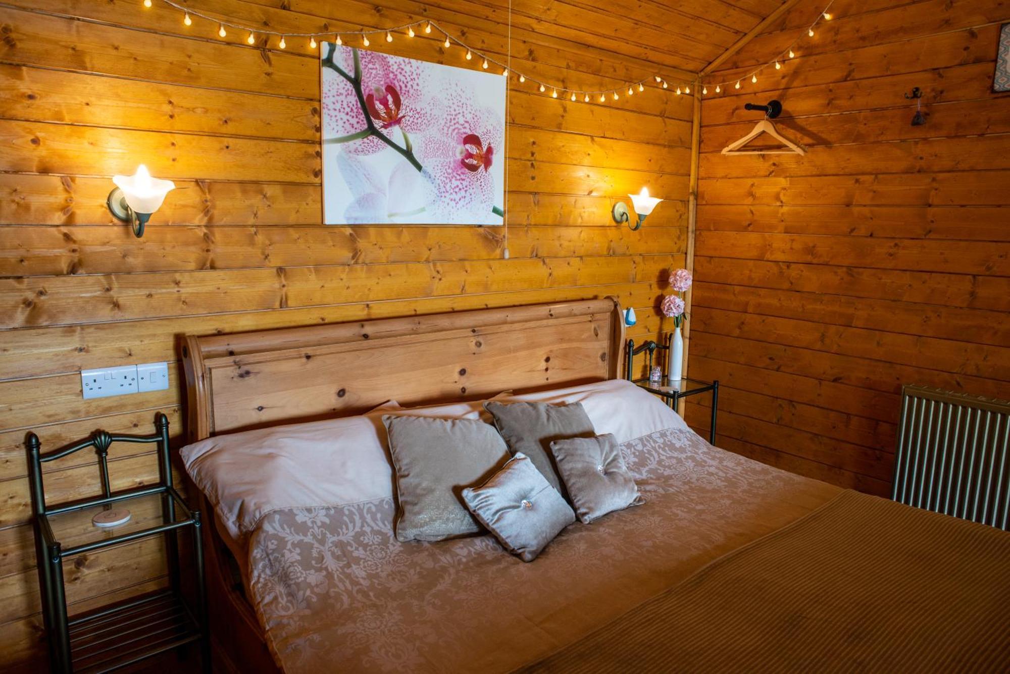 Blossom Cabin - Little Log Cabin In Wales Newtown  Exteriér fotografie