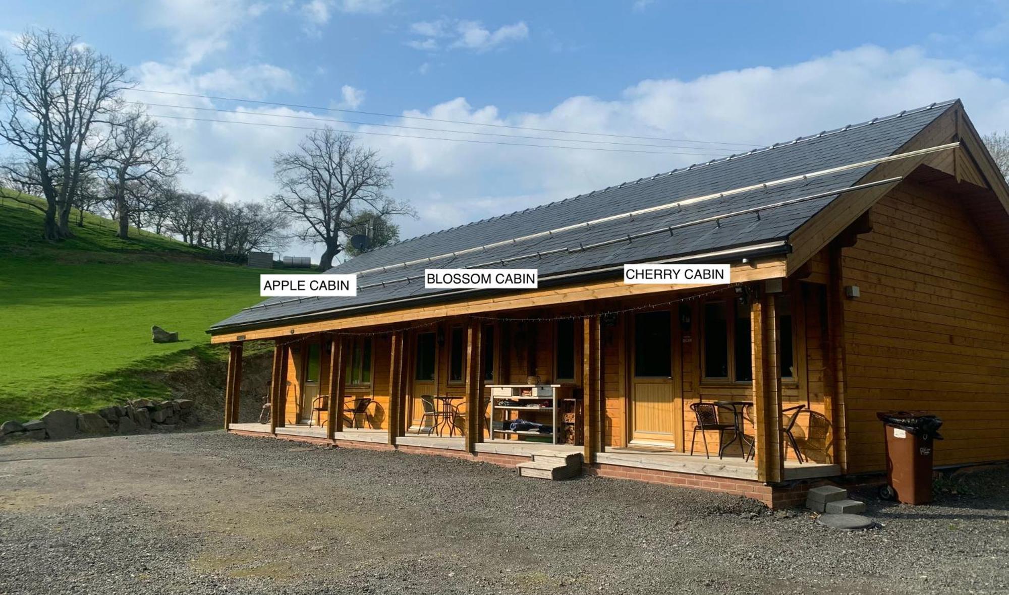 Blossom Cabin - Little Log Cabin In Wales Newtown  Exteriér fotografie